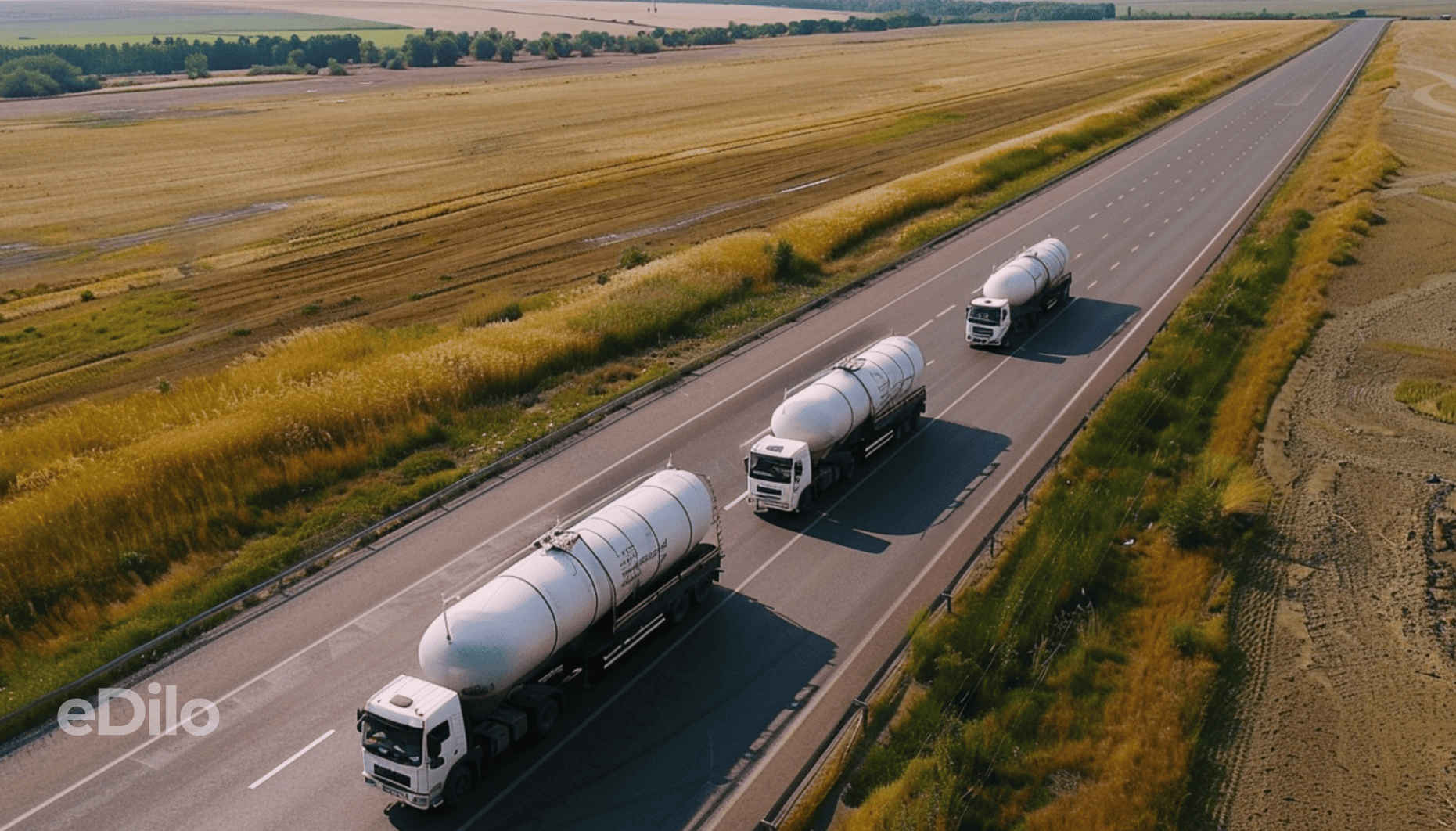 Правила перевезення зерна автотранспортом: особливості та вартість в Україні