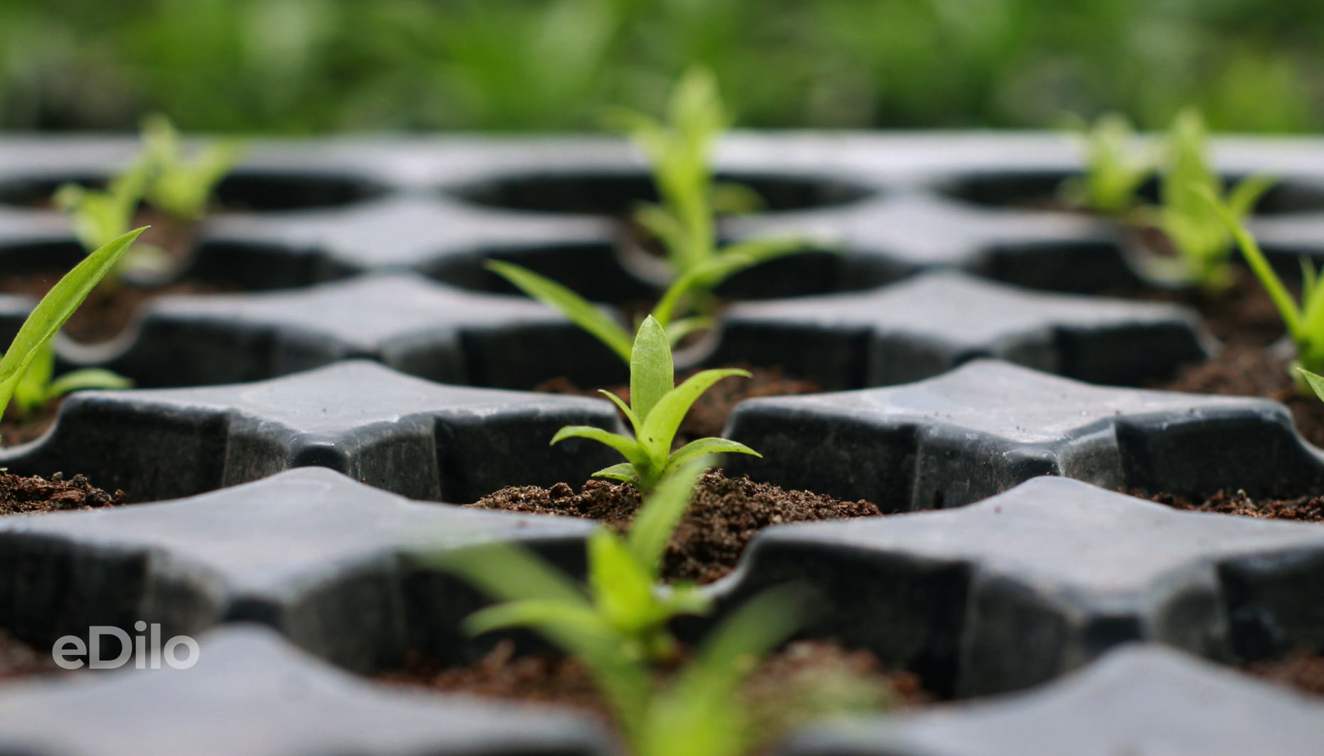 Як аграрному бізнесу отримати доступ до сучасних матеріалів: фінансові інструменти для закупівель промпластику